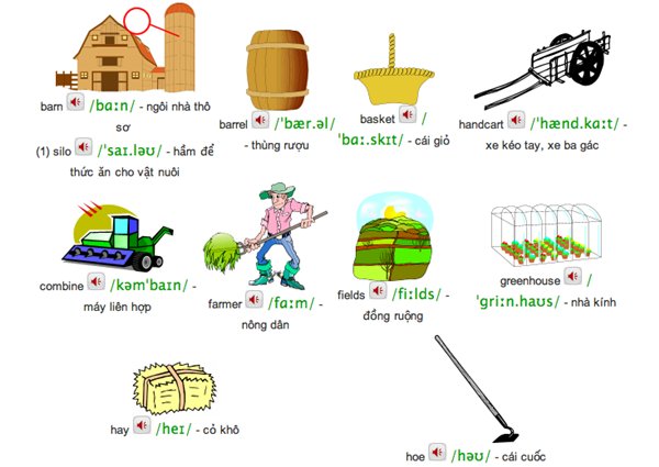 TRAU DỒI VỐN TỪ VỰNG TIẾNG ANH TỪ CÁCH THỨC HÌNH THÀNH NGÔN TỪ TIẾNG ANH